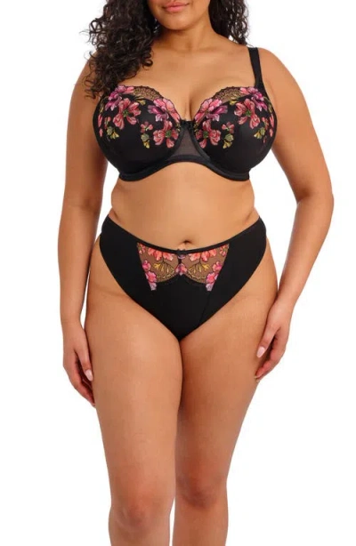 Elomi Teagan Thong In Black
