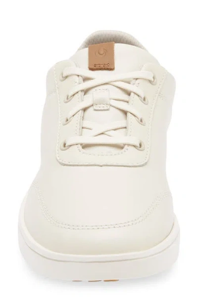 Olukai Puakea Convertible Waterproof Sneaker In Multi