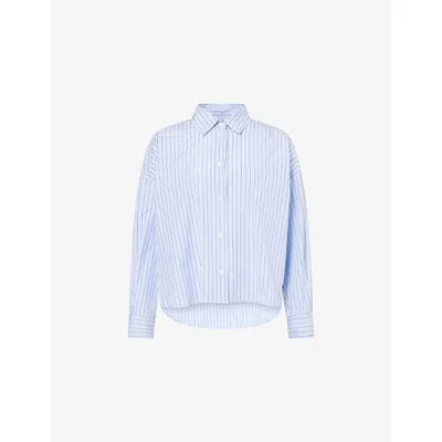 Weekend Max Mara Omens Light Blue Distancedline Oversized Stripe-pattern Cotton Shirt In Blue