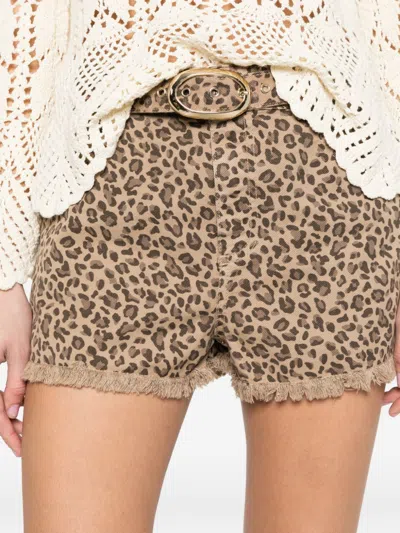 Twinset Leopard-pattern Shorts In Animal Print