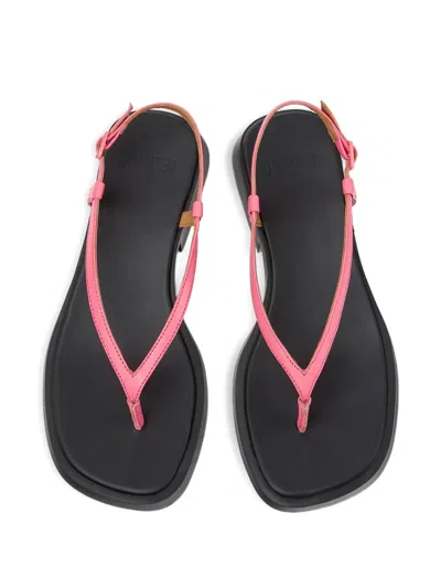 Camper Dana Leather Sandals In Multi
