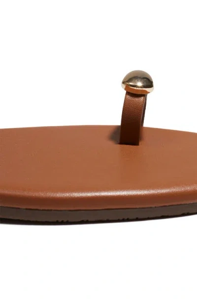 Tkees Colette Toe Loop Sandal In Brown