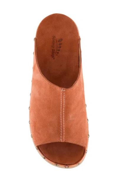 Spring Step Emberlyn Slide Sandal In Brown