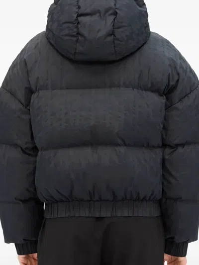 Msgm Hooded Jacket In Black