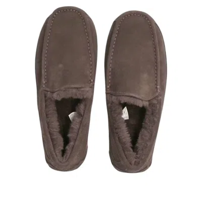 Ugg Ascot Slippers In Gray