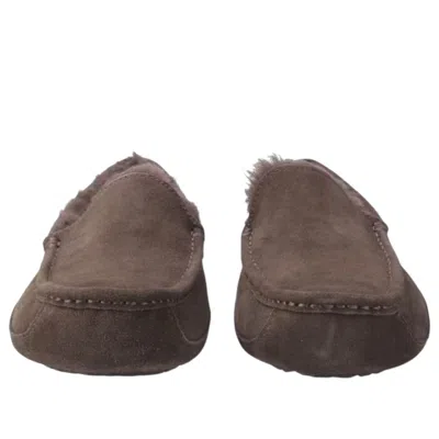 Ugg Ascot Slippers In Gray