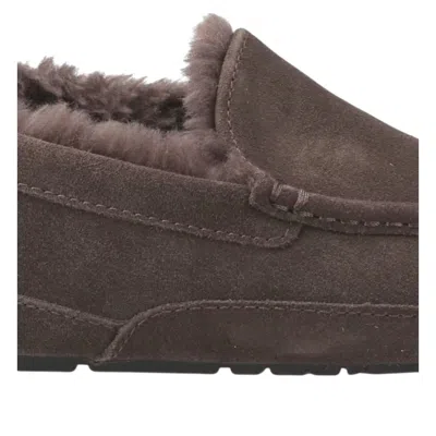 Ugg Ascot Slippers In Gray