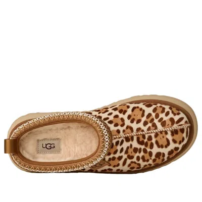 Ugg Tazz Plains Slippers Felicity Leopard Jasmine In Brown