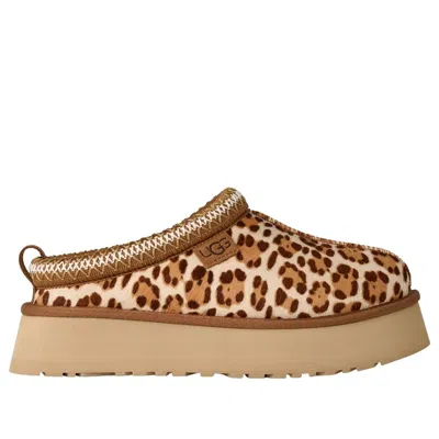 Ugg Tazz Plains Slippers Felicity Leopard Jasmine In Brown