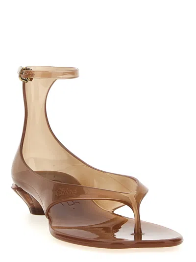 Chloé Jelly Brown Sandals With Logo Imprinted On The Side And Ankle Buckle Closure In Tpu Woman In Multi