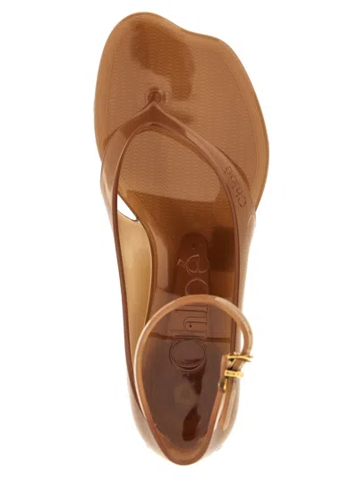 Chloé Jelly Brown Sandals With Logo Imprinted On The Side And Ankle Buckle Closure In Tpu Woman In Multi