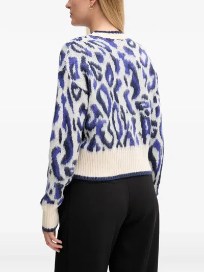 Gaudì Jacquard Sweater In Multi