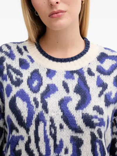 Gaudì Jacquard Sweater In Multi