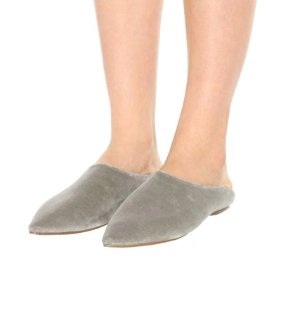 Shop Acne Studios Amina Velvet Babouche Slippers In Grey