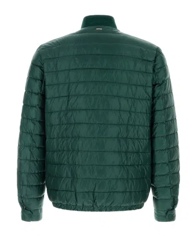 Herno Nylon Down Jacket Elasticated Cuffs Stand Collar In Green