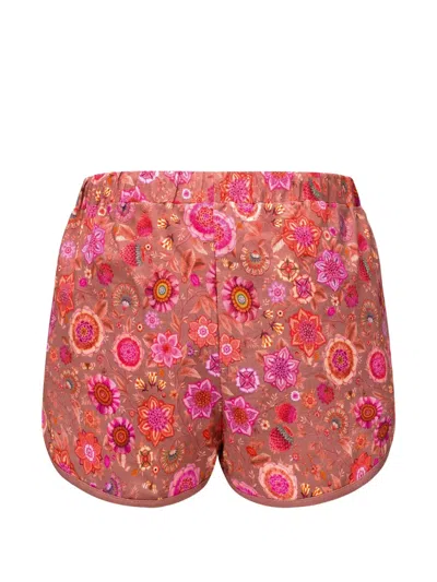 Pip Studio Bali Shorts In Multi