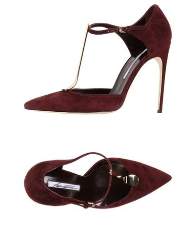 Brian Atwood In Maroon