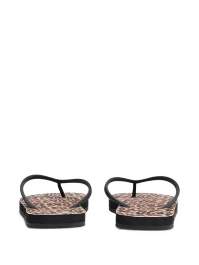 Dsquared2 Leopard Print Flip Flops In Black