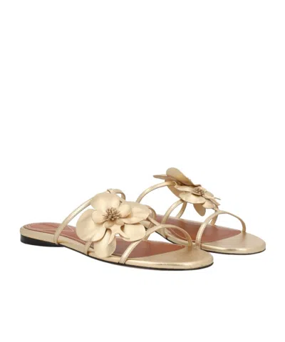 Zimmermann Orchid Flat Sandal Metallic Straps Floral In Gold