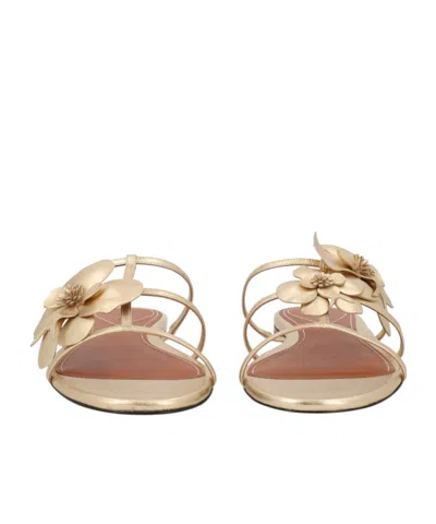 Zimmermann Orchid Flat Sandal Metallic Straps Floral In Gold
