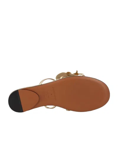 Zimmermann Orchid Flat Sandal Metallic Straps Floral In Gold