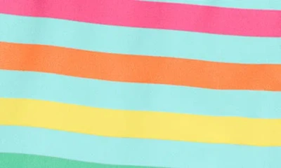 Primary Stripe Swim Trunks In Multi