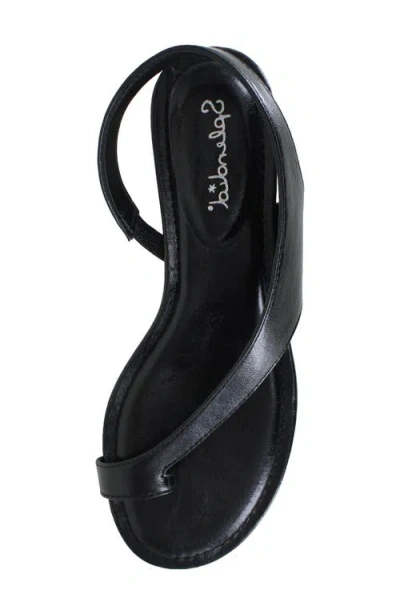 Splendid Helen Toe Loop Sandal In Black