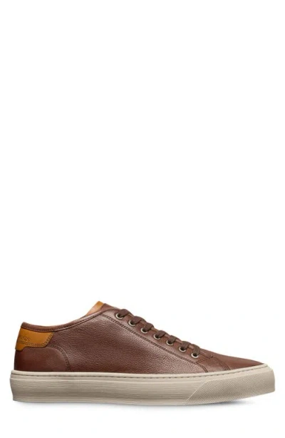Allen Edmonds Jones Low Top Sneaker In Multi