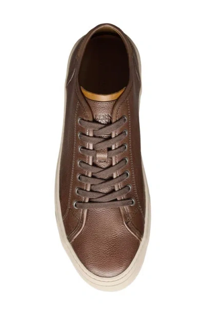 Allen Edmonds Jones Low Top Sneaker In Multi