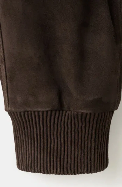 Mango Suede Jacket In Brown