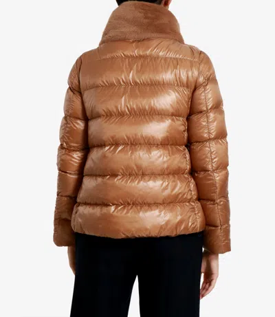 Herno Coats Camel In Multi