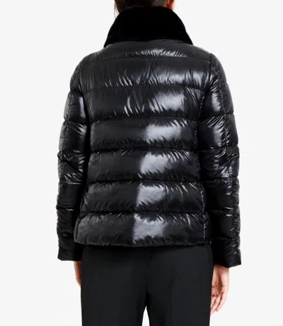 Herno Down Jacket In Black