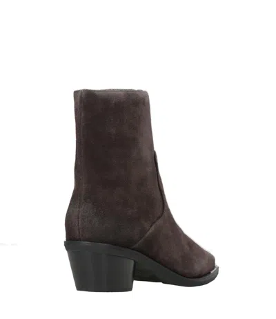 Ash Boots Brown In Brown