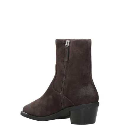 Ash Boots Brown In Brown