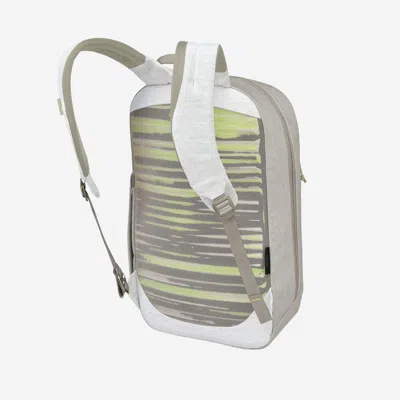Osprey Earth Large Day Backpack In Gray