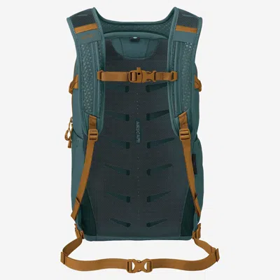 Osprey Daylite™ Plus Backpack In Green