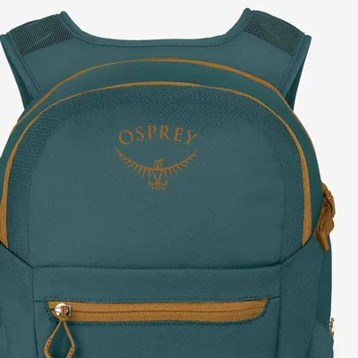 Osprey Daylite™ Plus Backpack In Green