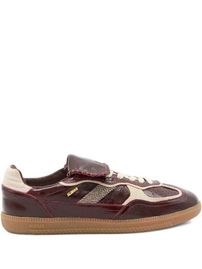 Alohas Tb.490 Club Patent Deep Burgundy Leather Sneakers In Brown