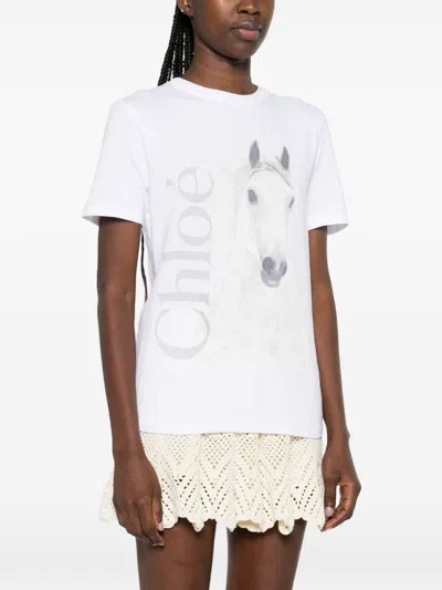 Chloé Cotton Crew Neck Graphic Short Sleeve T-shirt In White