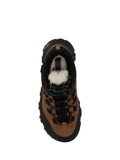Ugg Metrotrek Hiker Sneakers In Brown