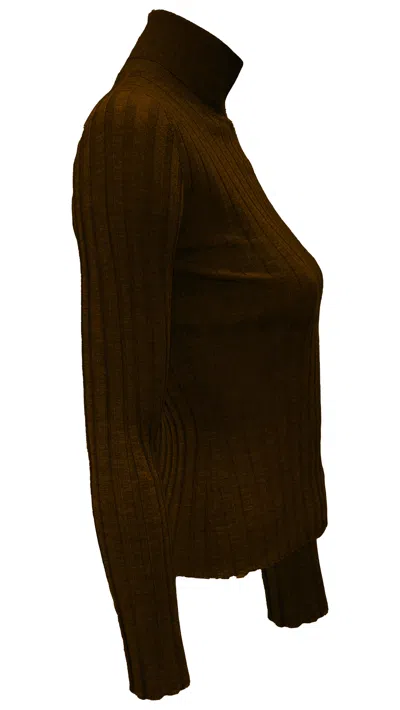 La Rose Cashmere Silk Ribbed Turtleneck Long Sleeve In Brown