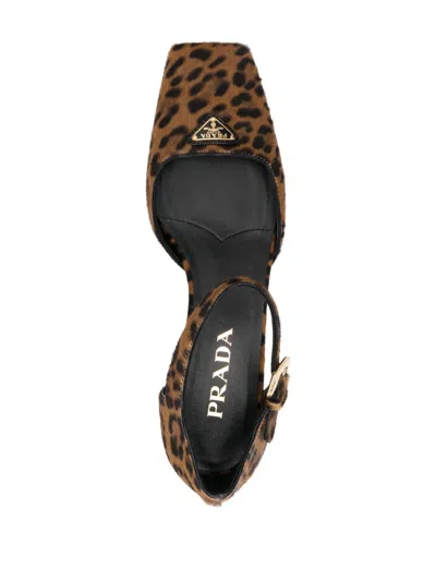 Prada 45 Leopard Print Pumps In Multi