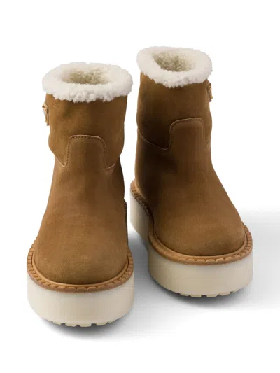Prada Suede Booties In Brown