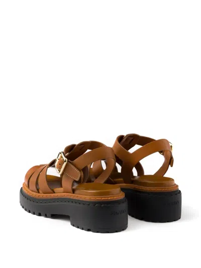 Prada Brown Leather Sandal With Logo In Brown