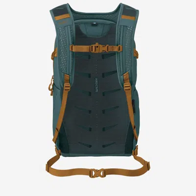 Osprey 鱼鹰 In Red