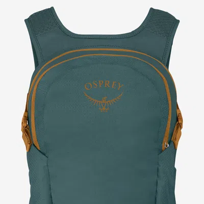 Osprey 鱼鹰 In Red