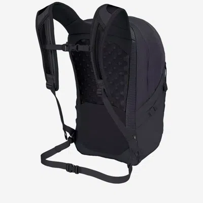 Osprey 鱼鹰 In Black