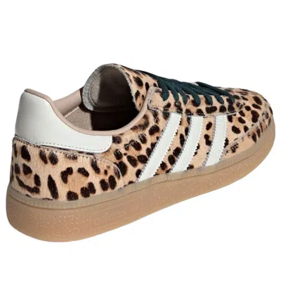 Adidas Originals Golden Goose Golden Goose Ball Star White Nappa Sneakers With Black Star In Brown