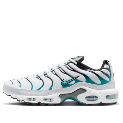 Nike Air Max Plus Sneakers In Multi