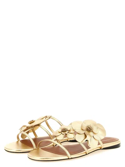 Zimmermann Orchid Flat Sandal Metallic Straps Floral In Gold
